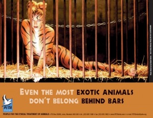 PETA kampány az állatkeretek embertelensége ellen (f.: http://toochee.postr.hu)